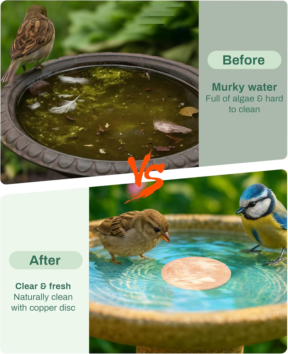Skiennix Bird Bath Heater | Pure Copper Solar-Powered Deicer for Winter | Outdoor Metal Warmer