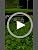 Ceremonial Grade Matcha Powder 3.53oz - Organic Uji Green Tea for Lattes & Recipes