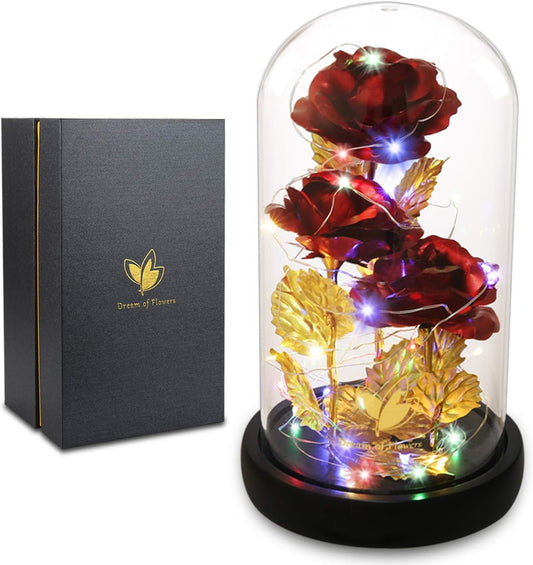 Birthday Gifts for Women,Beauty and the Beast Rose in Glass Dome,Preserved Rose with Warm Lights,Flower for Delivery Prime,Forever Flower Gifts for Women Mom Wife Girlfriend, Anniversary Birthday Gift