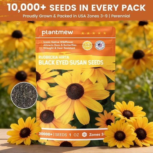 Black Eyed Susan Seeds - 30,000+ Non-GMO Heirloom Flower Seeds for Gardens & Borders | Attract Pollinators