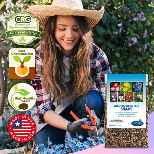 BBB Seed Wildflower Seeds - Open-Pollinated Mix for Partial Shade | 1 oz Packet, Annual & Perennial