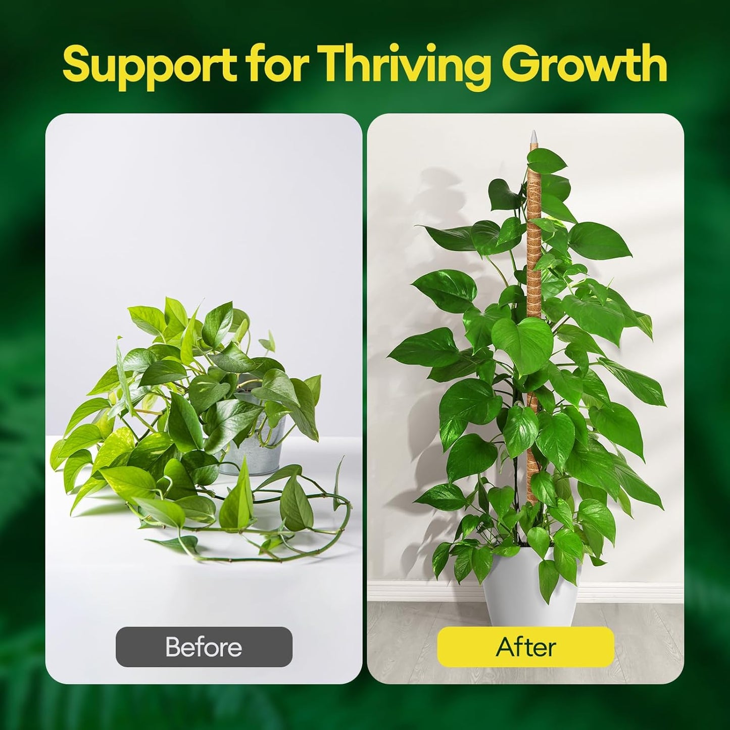 Maygrove 28” Bendable Moss Pole | 3-Pack Plant Support for Monstera & Climbing Indoor Plants