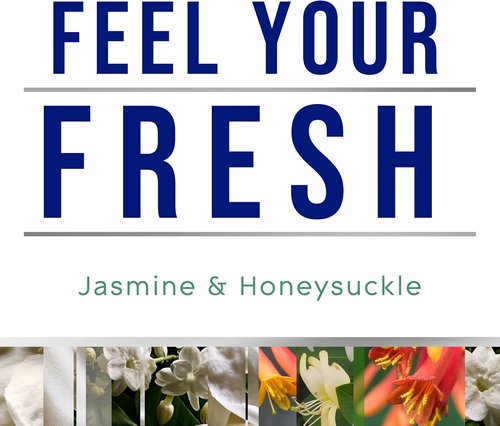 Glade PlugIns Refills Air Freshener - Jasmine & Honeysuckle Scented Oils | 10 Count, 0.67 Fl Oz