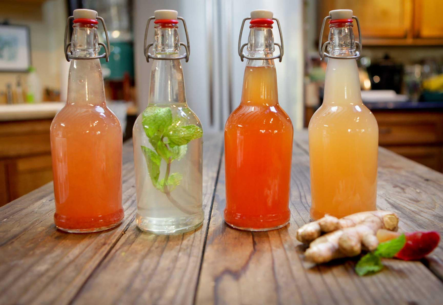 The Spirit Of The Forest Live DORMANT ENDLESS Fresh Water Kefir Grains DIY Fermented Probiotic Drink Enhances Gut Health Kefir Starter Makes Limitless Supply Non-GMO Dairy Free Vegan Sparkling Water