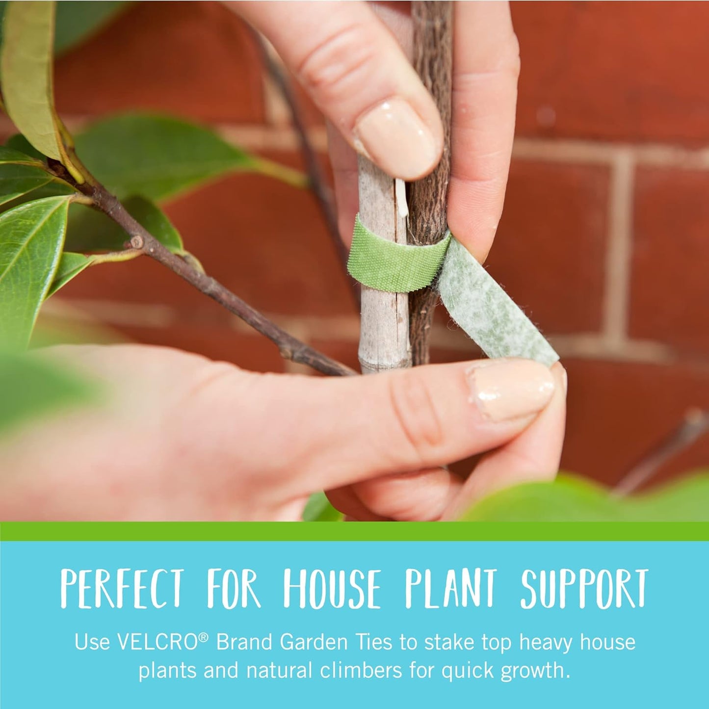 Velcro Brand Garden Plant Ties - 45 Pre-Cut One-Wrap Ties for Tomatoes & Flowers | 8" x 1/2", Green Recycled Plastic