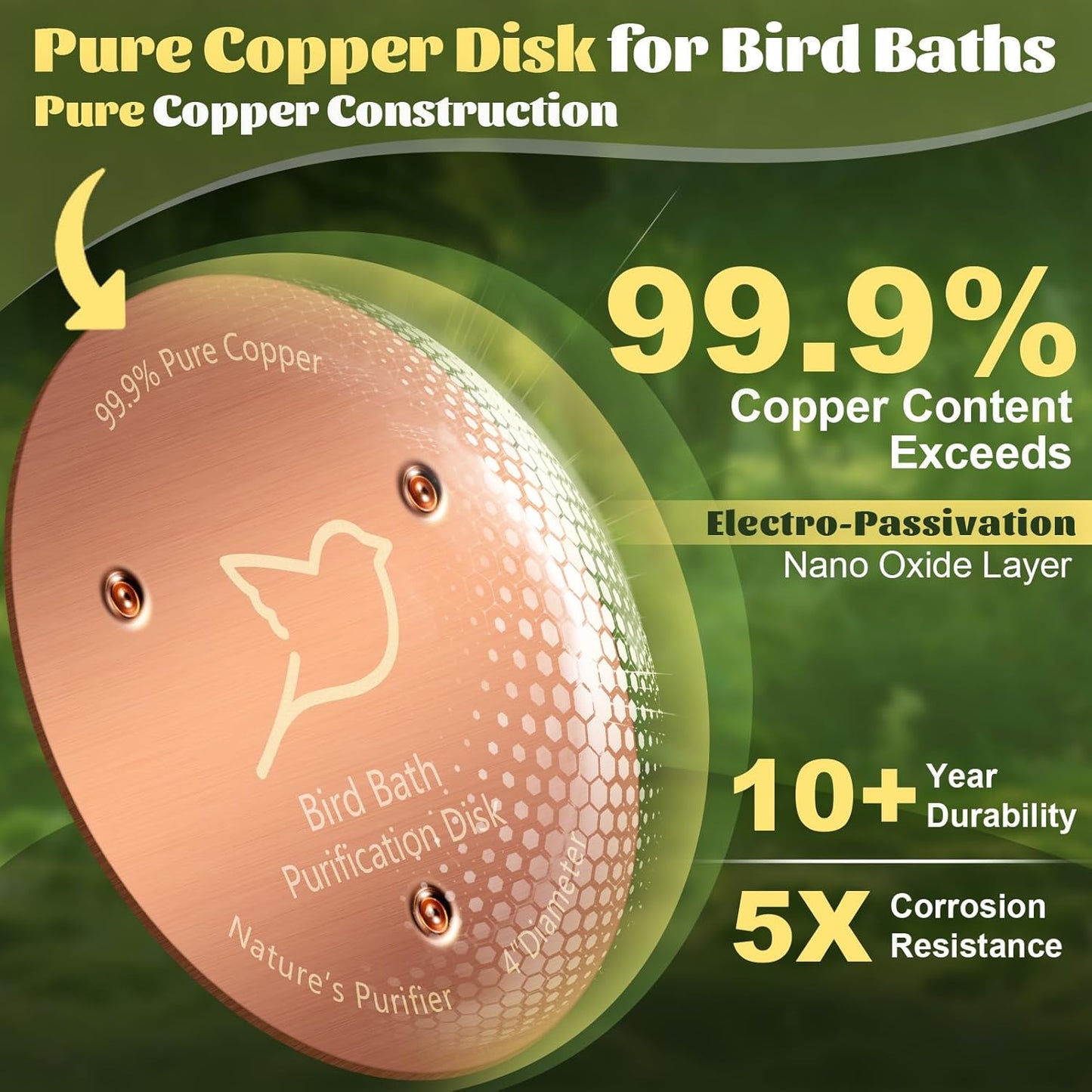Skiennix Bird Bath Copper Disk - 1mm Thick Reinforced 99.99% Pure Copper | Durable Outdoor Accessory