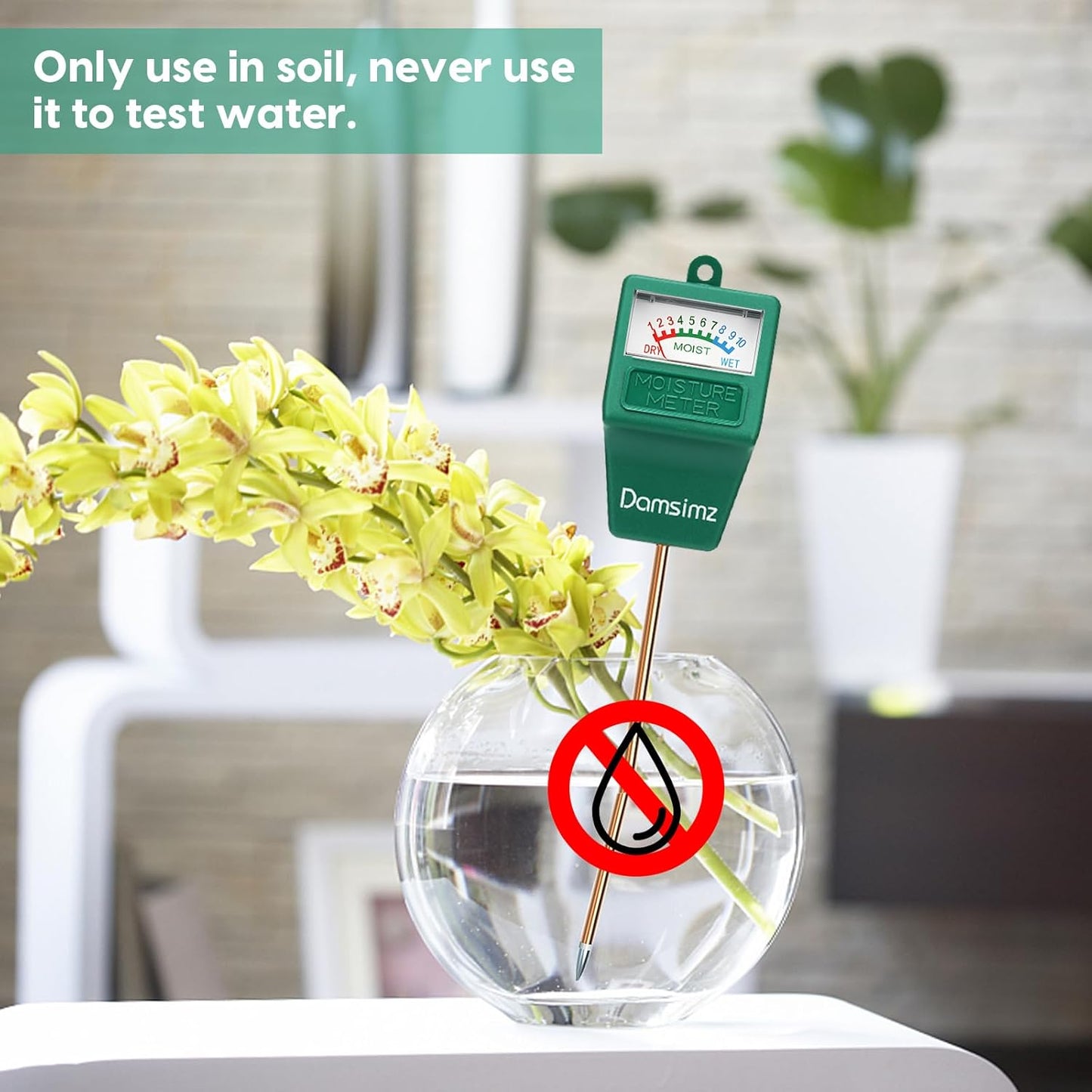 Skiennix Soil Moisture Meter - Accurate Plant Water Tester for Indoor & Outdoor Gardening | 2-Pack