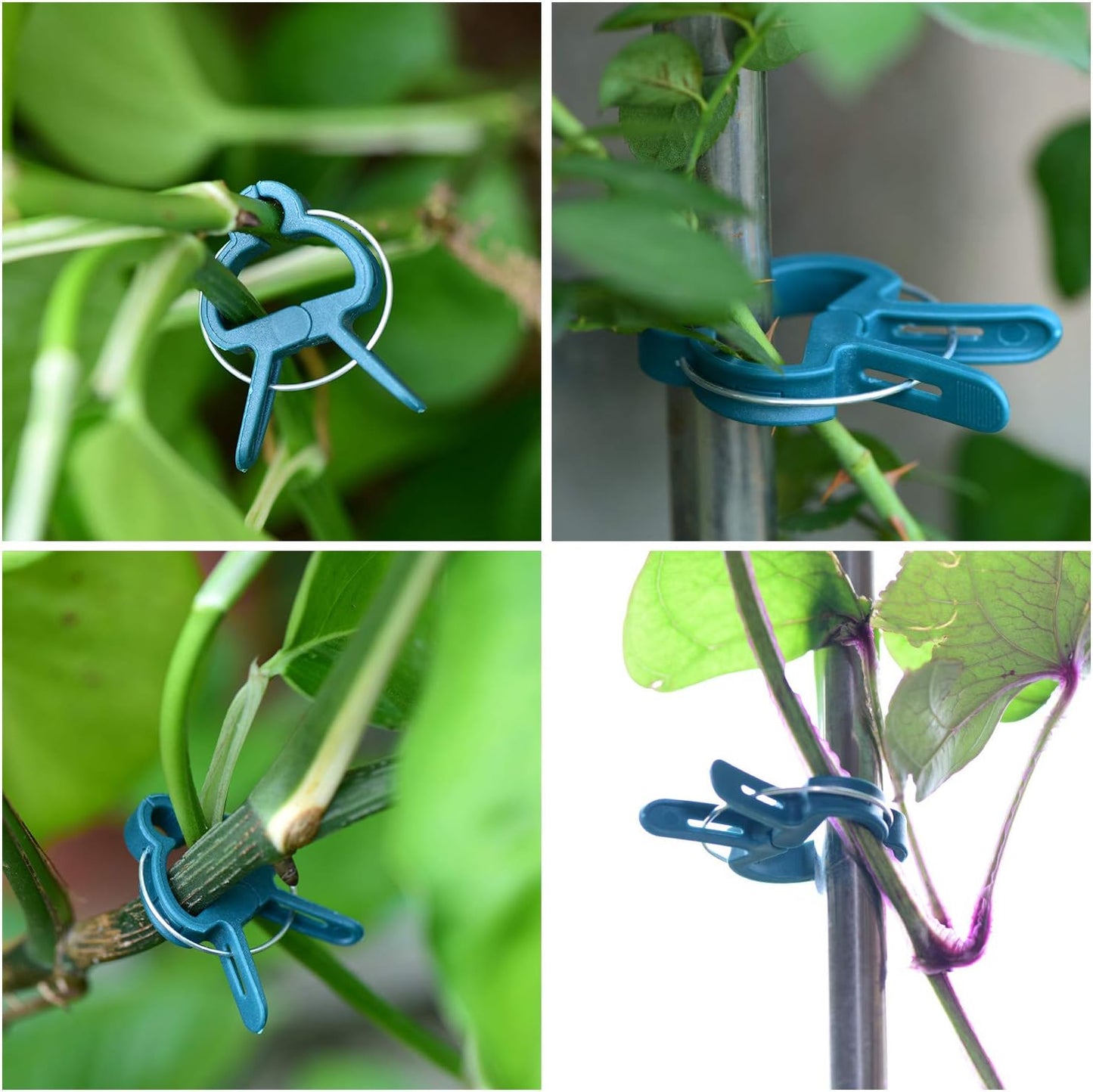 PERSZEN Plant Clips - 60PCS Adjustable Reusable Garden Supports for Flowers, Vines & Vegetables