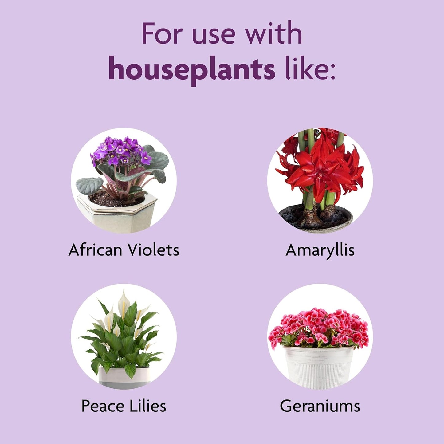 Miracle-Gro Blooming Houseplant Food - Premium Fertilizer for Indoor Plants, 8 Fl. Oz.