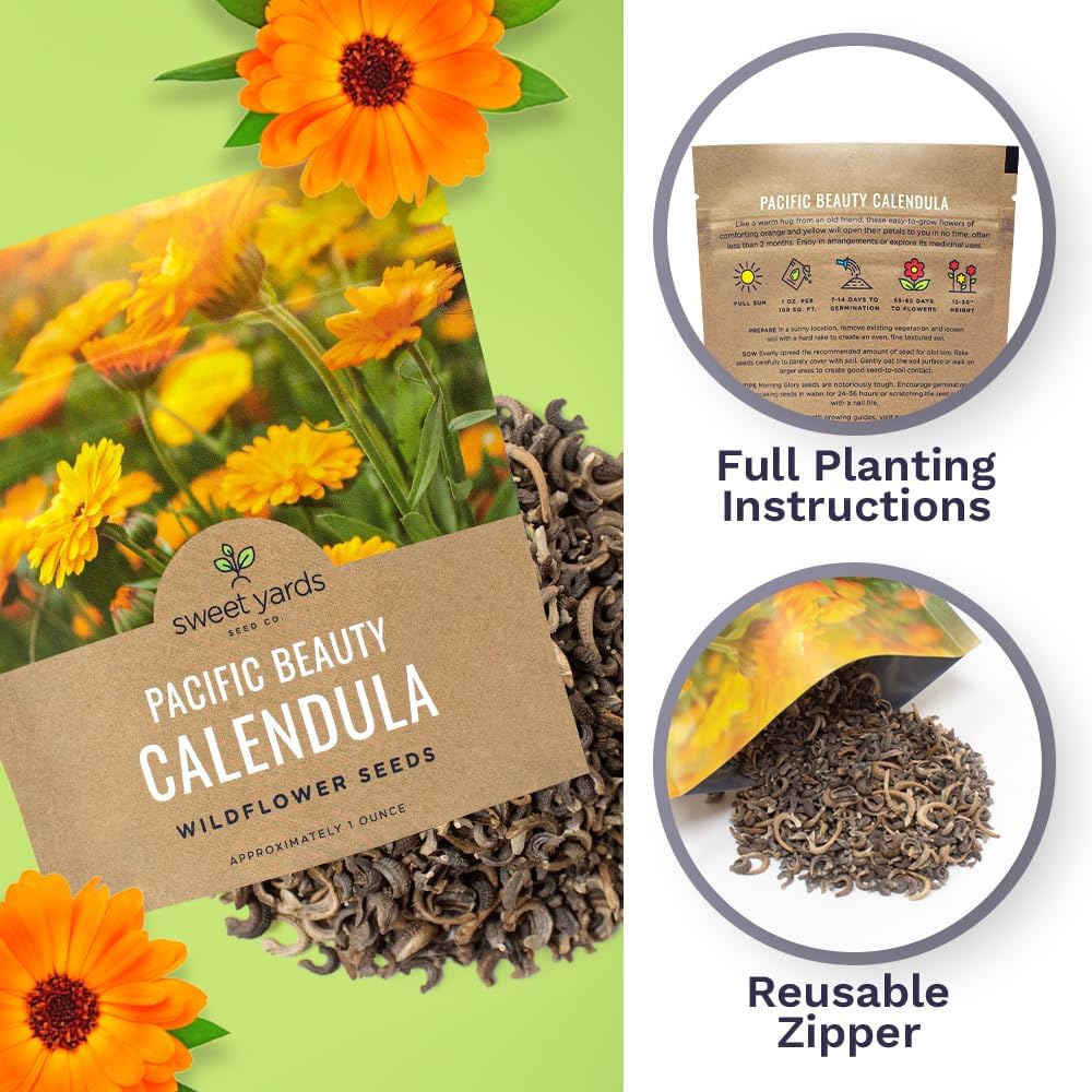 Pacific Beauty Mix Calendula Seeds - Extra Large Packet of 3,000+ Non-GMO Wildflower Seeds