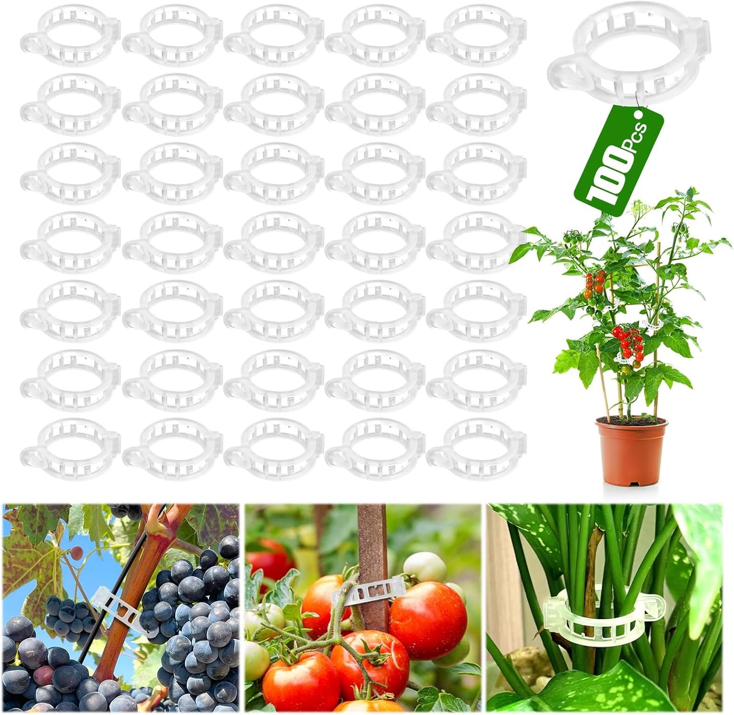 Skiennix Plant Support Clips - 100 Pcs Reusable Trellis for Tomato & Grape Vines | Outdoor Plant Wall Clips