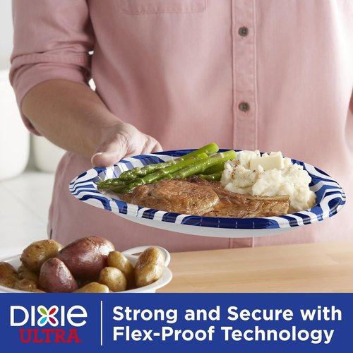 Dixie Ultra Large Paper Plates - 10 Inch, 172 Count | Heavy Duty, Microwave-Safe & Soak-Proof
