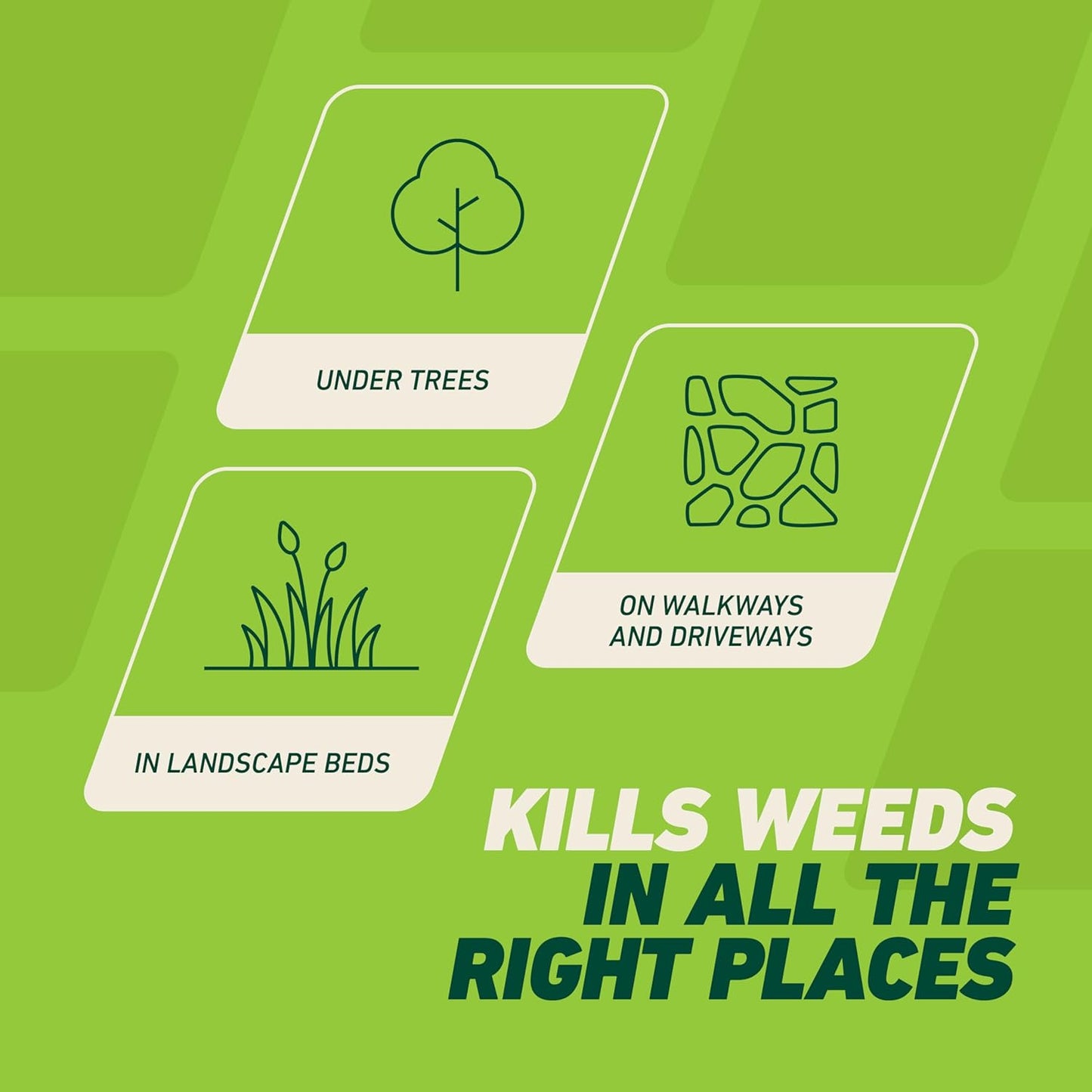 Ortho GroundClear Weed & Grass Killer - Kills Dandelions, Crabgrass & More | Ready-to-Use, 1 Gallon