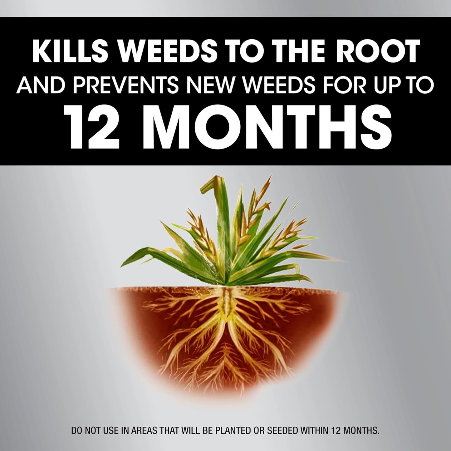 Roundup 365 Dual Action Weed & Grass Killer - Kills & Prevents for 1 Year | 1.25 Gallon Refill