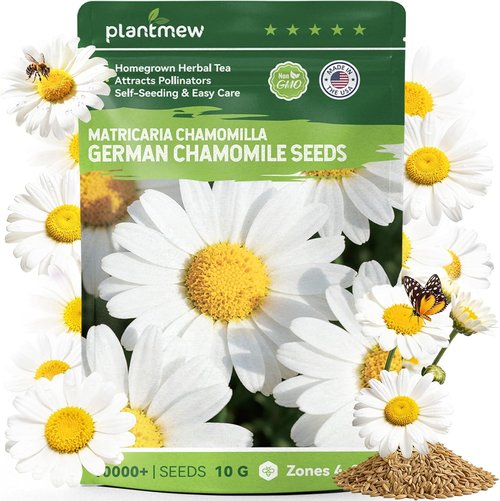 German Chamomile Seeds - 10,000+ Non-GMO Heirloom Seeds for Herbal Tea & Pollinator Attraction | USDA Zones 4-9
