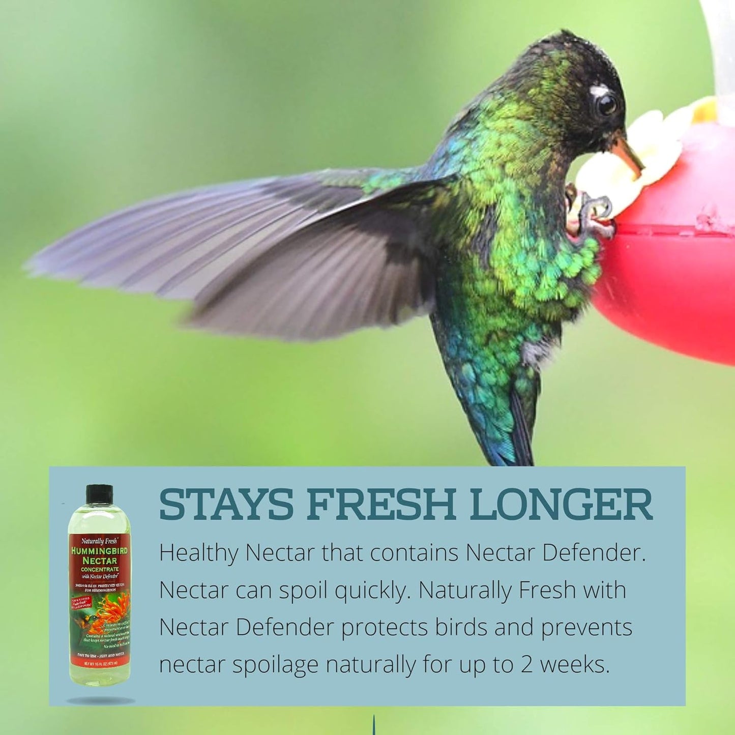 Naturally Fresh Hummingbird Nectar - Clear Concentrate with Nectar Defender | Makes 64 Ounces