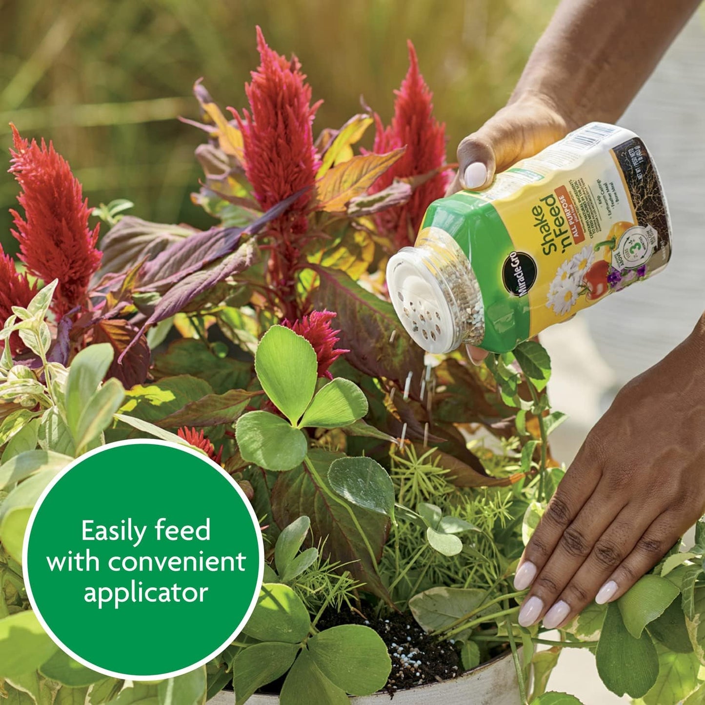 Miracle-Gro Shake 'N Feed All Purpose Plant Food - Feeds Indoor & Outdoor Plants for 3 Months, 1 lb.