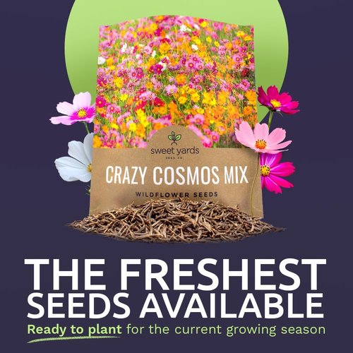 Cosmos Seeds Wildflower Mixture - Bulk 1 Ounce Packet with 5,000+ Colorful Seeds | Pink, Yellow, Orange, Red, Purple, White