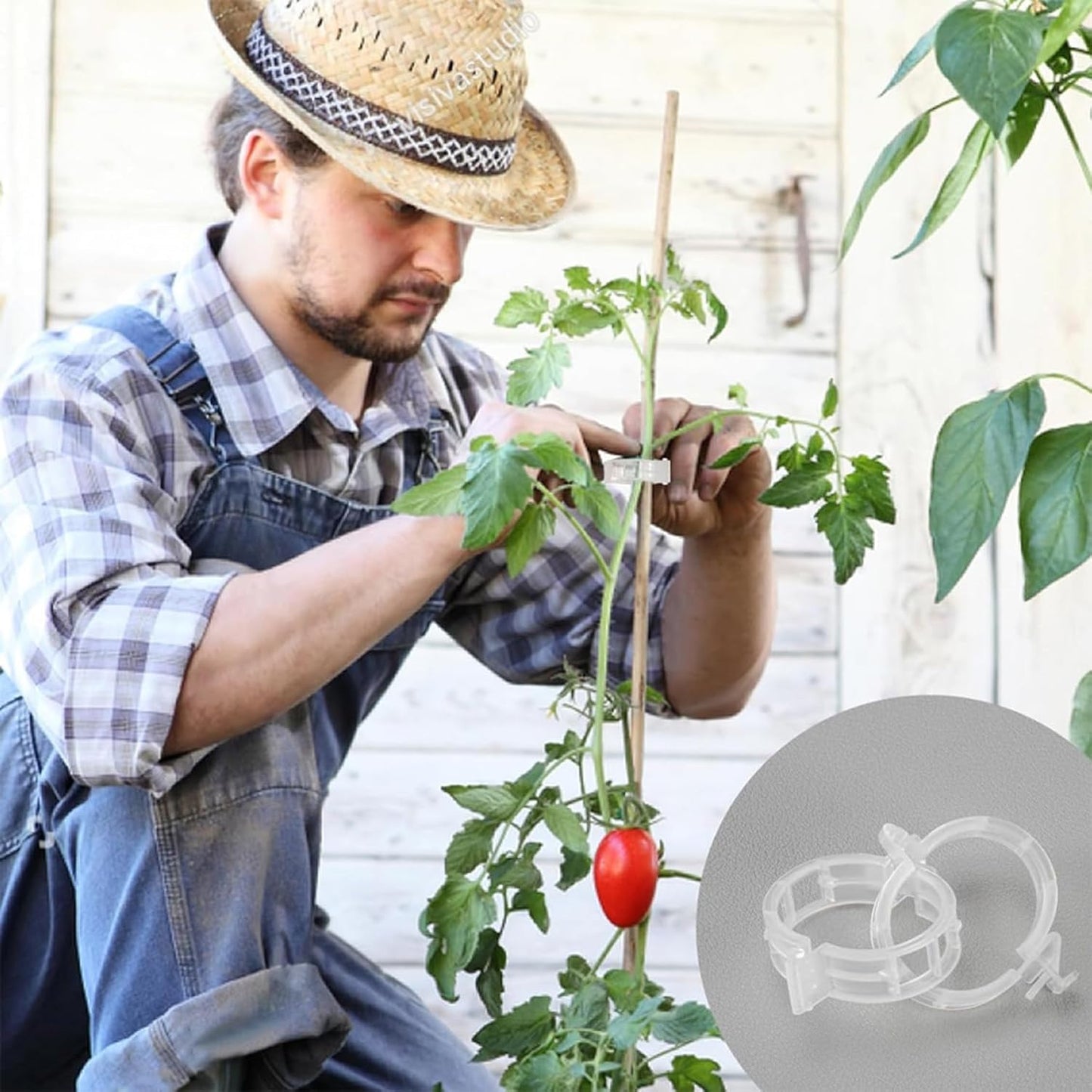 Skiennix Tomato Clips - 220Pcs Plant Support Clips for Trellis & Vegetable Cages | Ideal for Climbing Vines