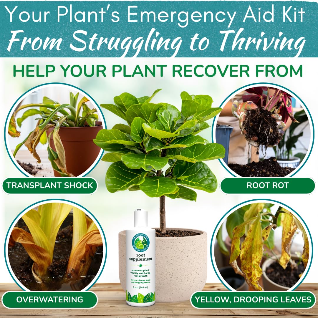 Root Rot Repair - Houseplant Recovery Drops for Overwatering & Shock | Heals Roots & Prevents Yellowing (8 oz)