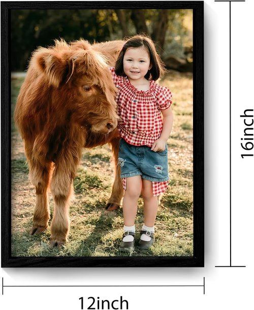 Canvas Prints | Custom Photo Wall Art by Skiennix - Framed Canvas Decor (12x16, Black Wood Frame)