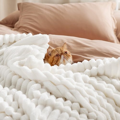 Bedsure Fleece Throw Blanket - Cozy White & Beige Design for Ultimate Comfort