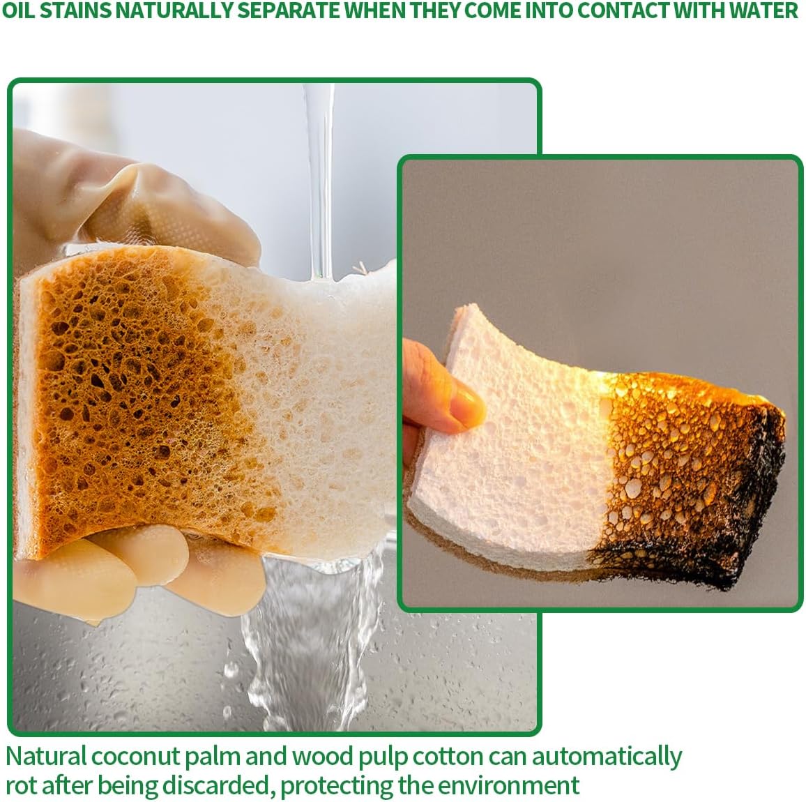 Skiennix Natural Dish Sponges - Plant-Based Biodegradable Cellulose with Coconut Scrubber | Eco-Friendly (Pack of 12)