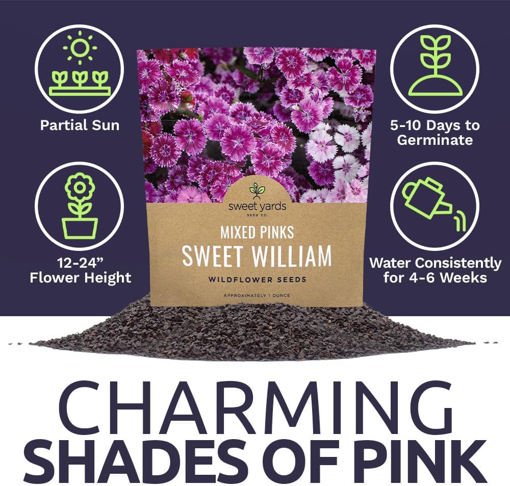 Sweet William Seeds - Mixed Pink Colors - Non-GMO Flower Seeds - Extra Large 1oz Packet