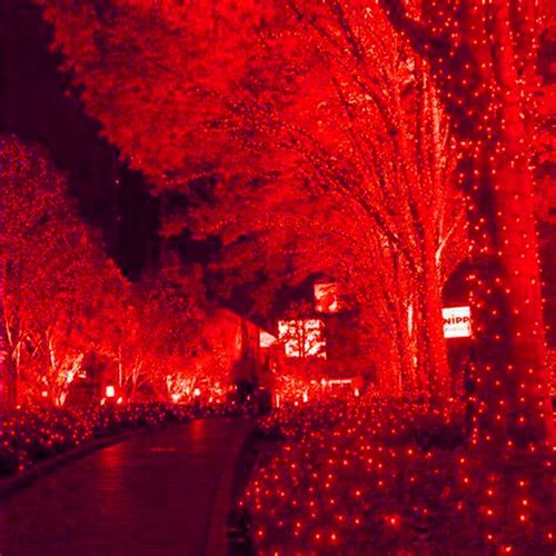HISHINY LED Red Christmas Net Lights - 100 LED Connectable Outdoor & Indoor Decor | 5ft x 5ft Size