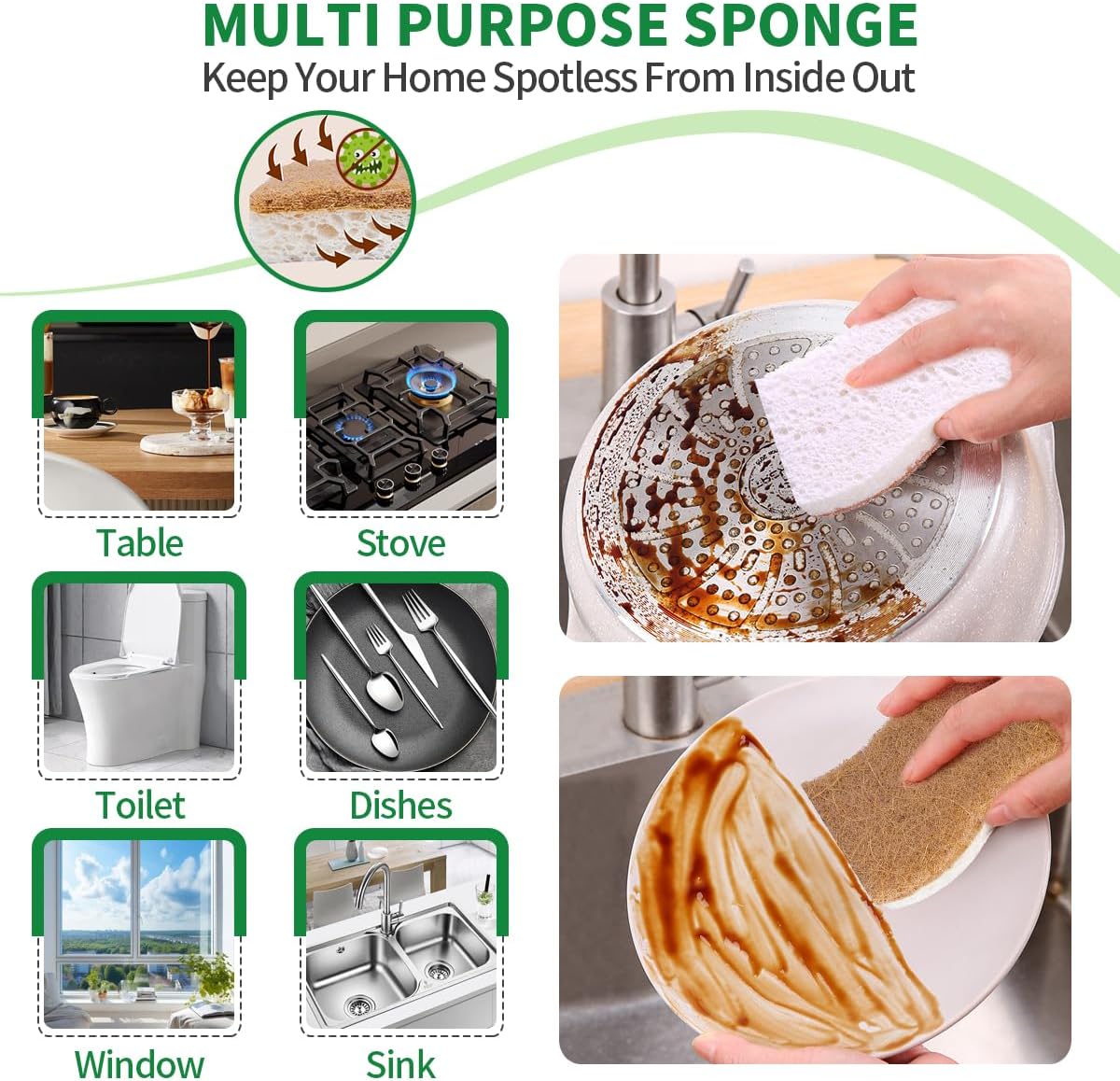 Skiennix Natural Dish Sponges - Plant-Based Biodegradable Cellulose with Coconut Scrubber | Eco-Friendly (Pack of 12)