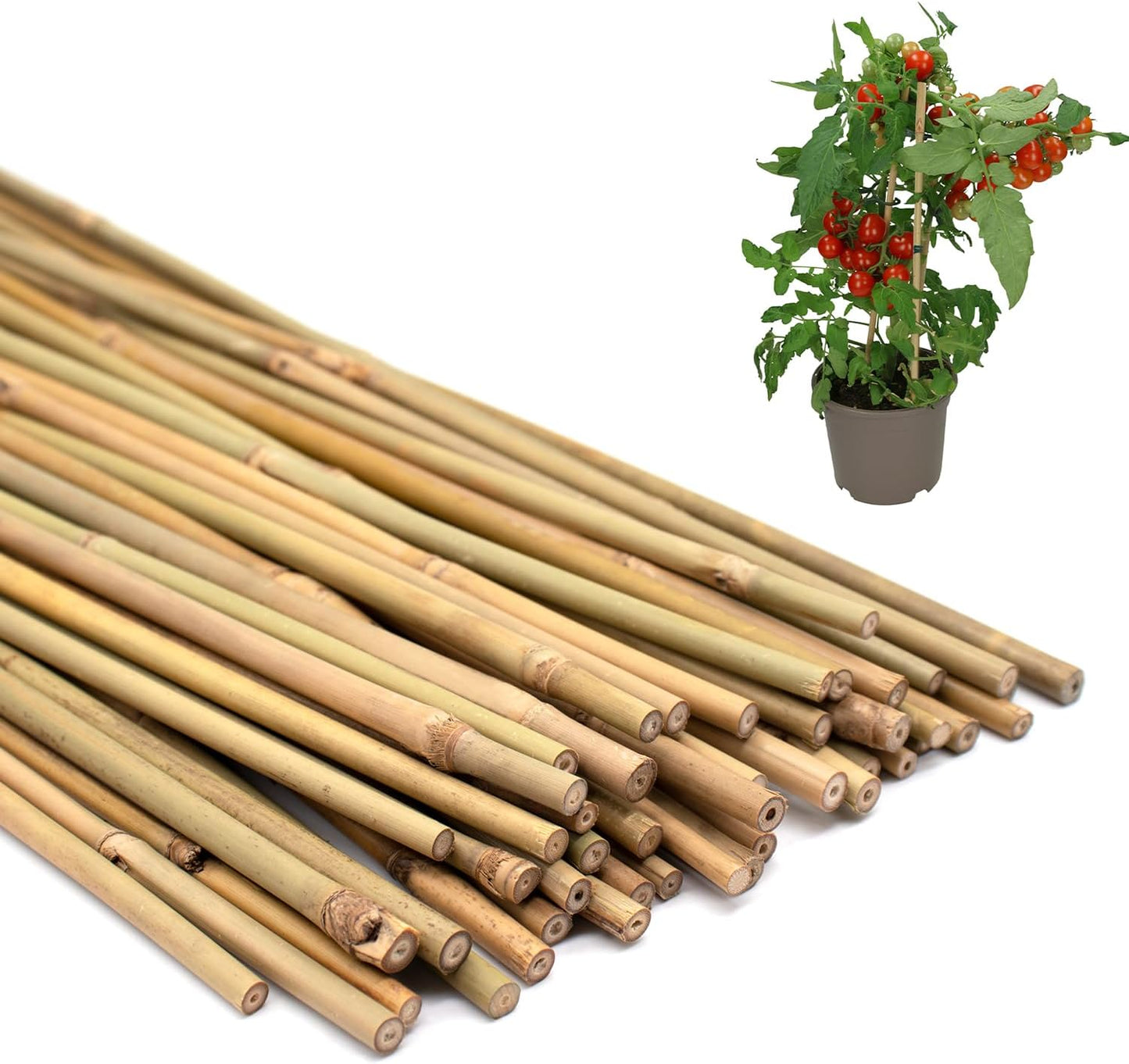 POLIUMB Bamboo Plant Stakes - 50PCS Natural Garden Stakes for Indoor/Outdoor Plants | 18 Inches