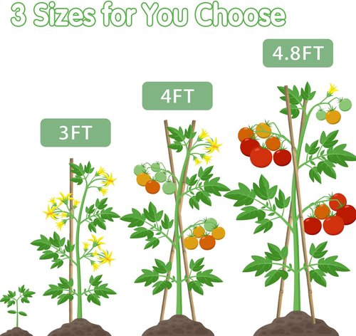 BOVITRO Bamboo Stakes - 3FT Natural Plant Support for Tomatoes, Beans & Climbing Plants | 25 Pcs