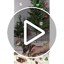 HYFAN Pack of 6 Christmas Small Animal Wreath Ornaments for Tree & Home Decor
