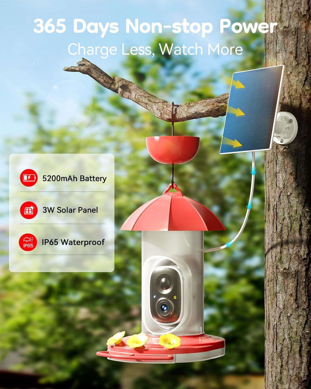 LongPlus® Hummingbird Feeder - Solar Powered Smart Bird Camera with 2K Live Video & Ant Guard Base