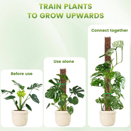 EOX 24-Inch Plastic Moss Poles - Set of 4 Large D-Shaped Climbing Plant Stakes for Monstera