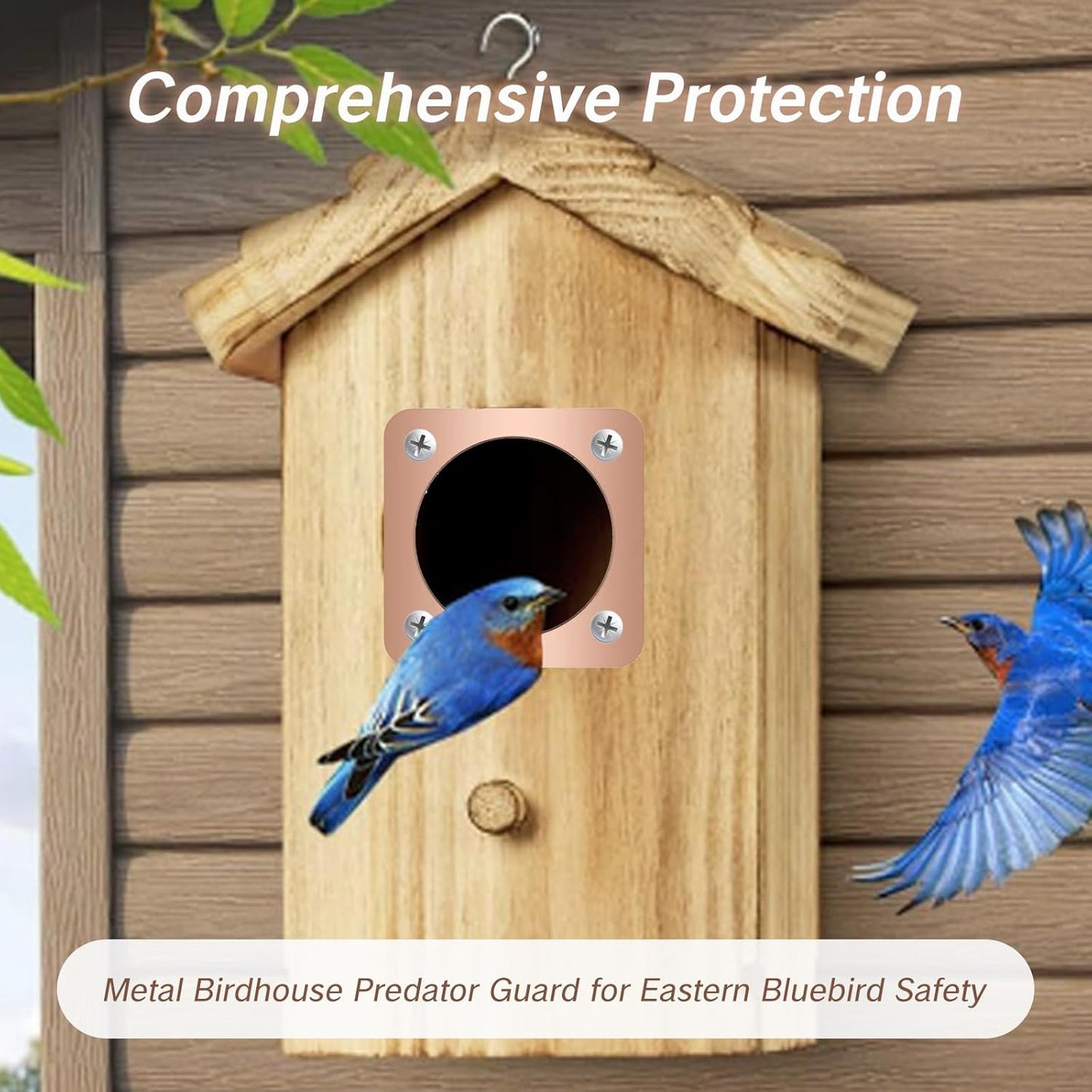 Skiennix Birdhouse Predator Guard - Copper Portal Metal Protector for Eastern Bluebirds | 1.5-Inch Hole