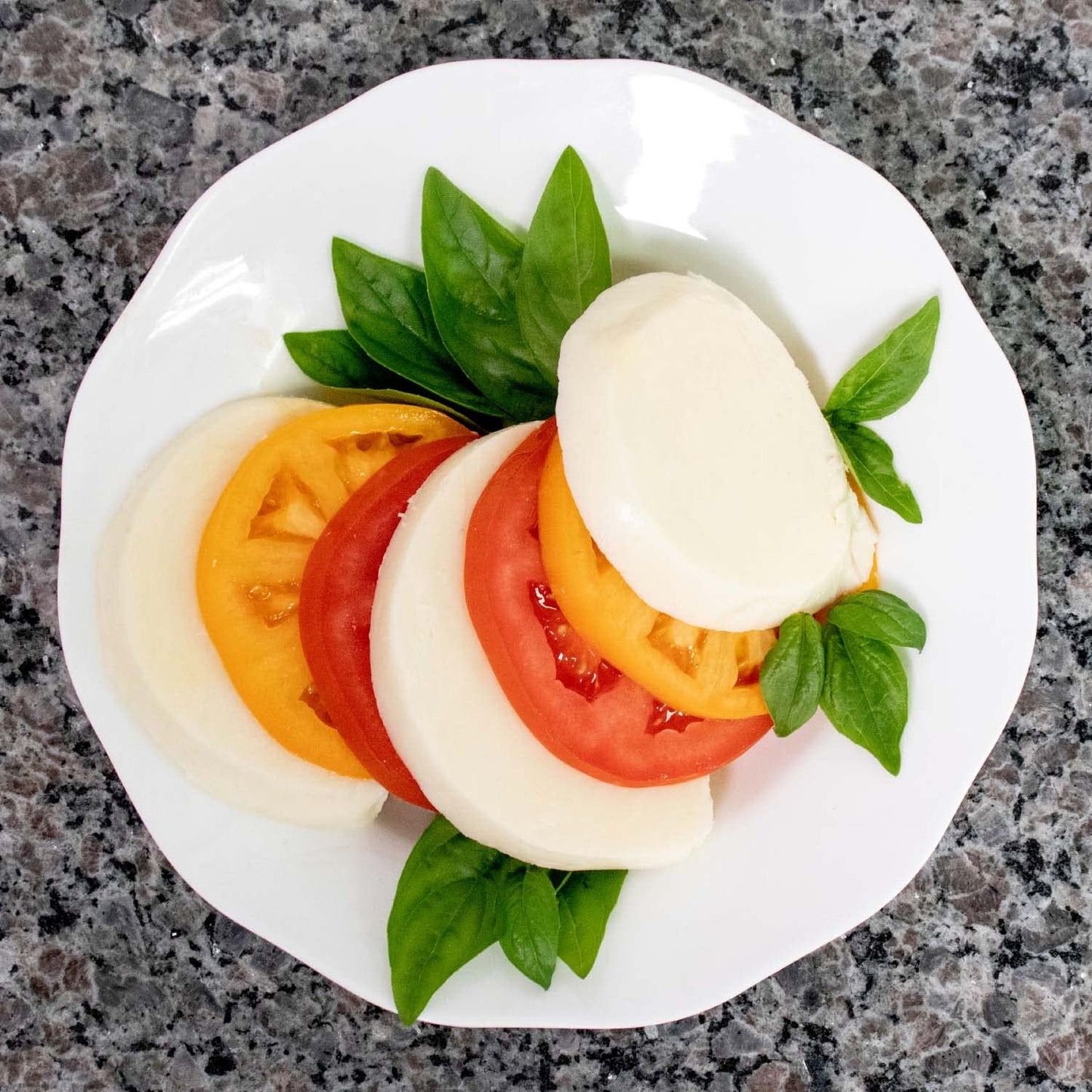 Mozzarella & Ricotta Cheese Making Kit | 5 Piece DIY Kit Includes Cheesecloth, Vegetable Rennet, Citric Acid, Cheese Salt, & Cooking Thermometer | Great Gift Ideas | Italian Cheese Making Supplies