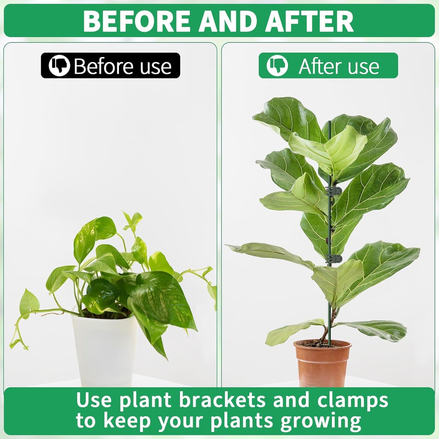 Skiennix 15.7" Plant Stakes - Bendable Support Sticks with 15 Clips for Indoor/Outdoor Plants | Ideal for Orchids, Roses, and Peonies