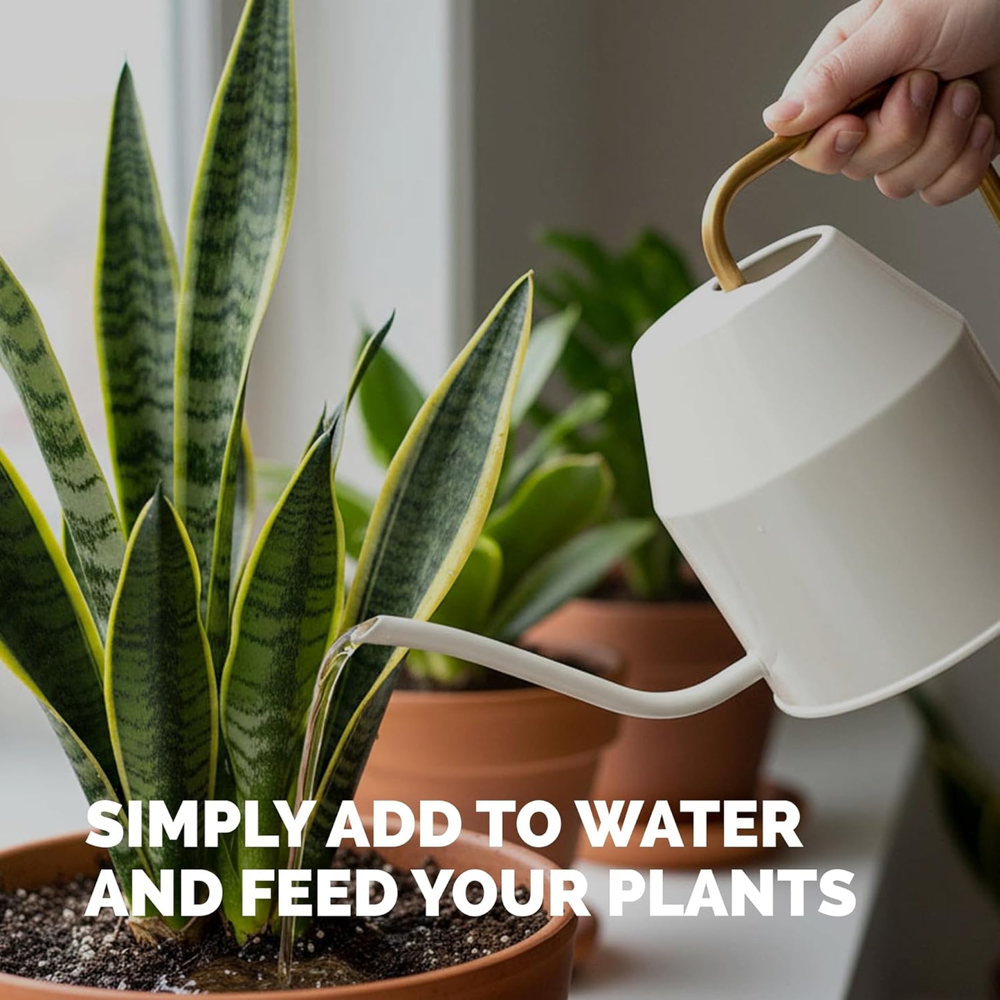 Skiennix Indoor Plant Food - Liquid Fertilizer for Vibrant Growth & Strong Roots | 1 Gallon