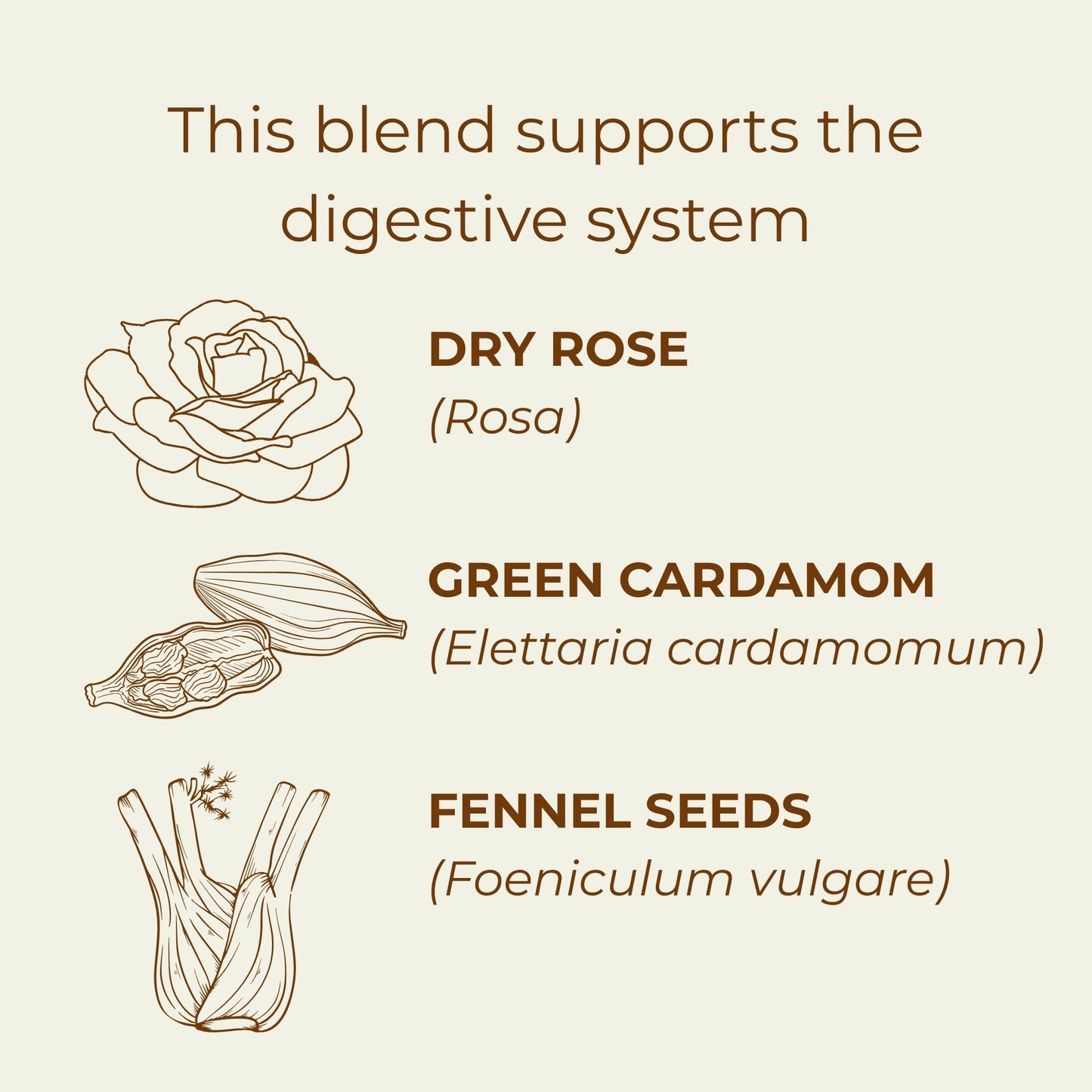 Kappah Organic Fennel Tea Bags and Powder Sachets - Supports Digestion and Reduces Bloating - Caffeine Free Stomach Ease Herbal Tea - Real Ground Herbs - No Fillers