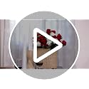 Artificial Roses Bulk - White Velvet Silk Flowers, 60 Long Stems - Versatile Home & Wedding Decor