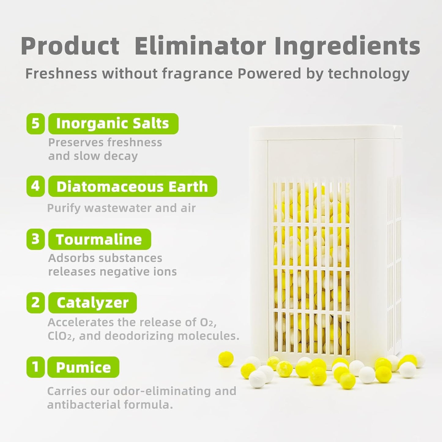 Regine Switzerland Refrigerator Deodorizer - Long-Lasting Odor Eliminator for Freshness | 12-Month Supply
