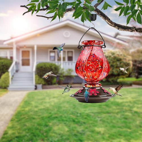BOLITE Hummingbird Feeder - Hand Blown Glass Design with 5 Bee-Proof Ports & Ant Moat | 22oz Red