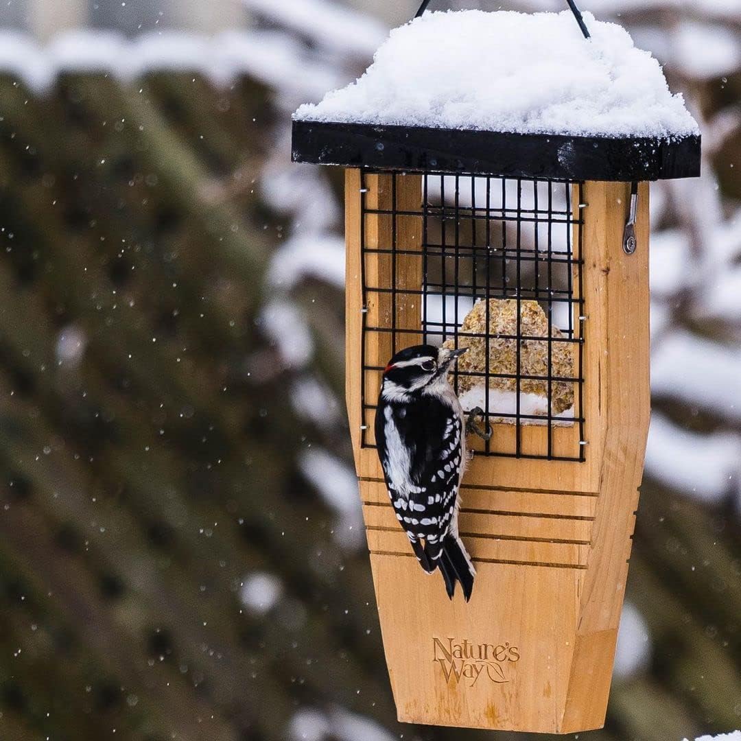 Nature's Way Bird Products Suet Bird Feeder - Tail-Propping Design | 12"H x 7.875"L x 3"W, Brown