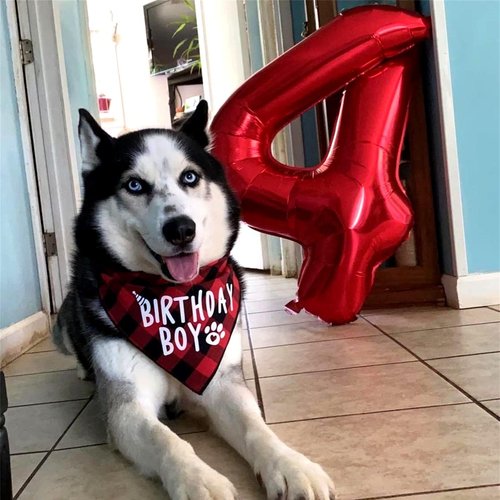 40 Inch Red Large Numbers Balloons 6, Self Inflating Digit 6 Helium Balloons for 6th Girls Boys, Foil Mylar Big Number Balloons Set 0-9 for Women Men Birthday Party Anniversary Supplies Decorations