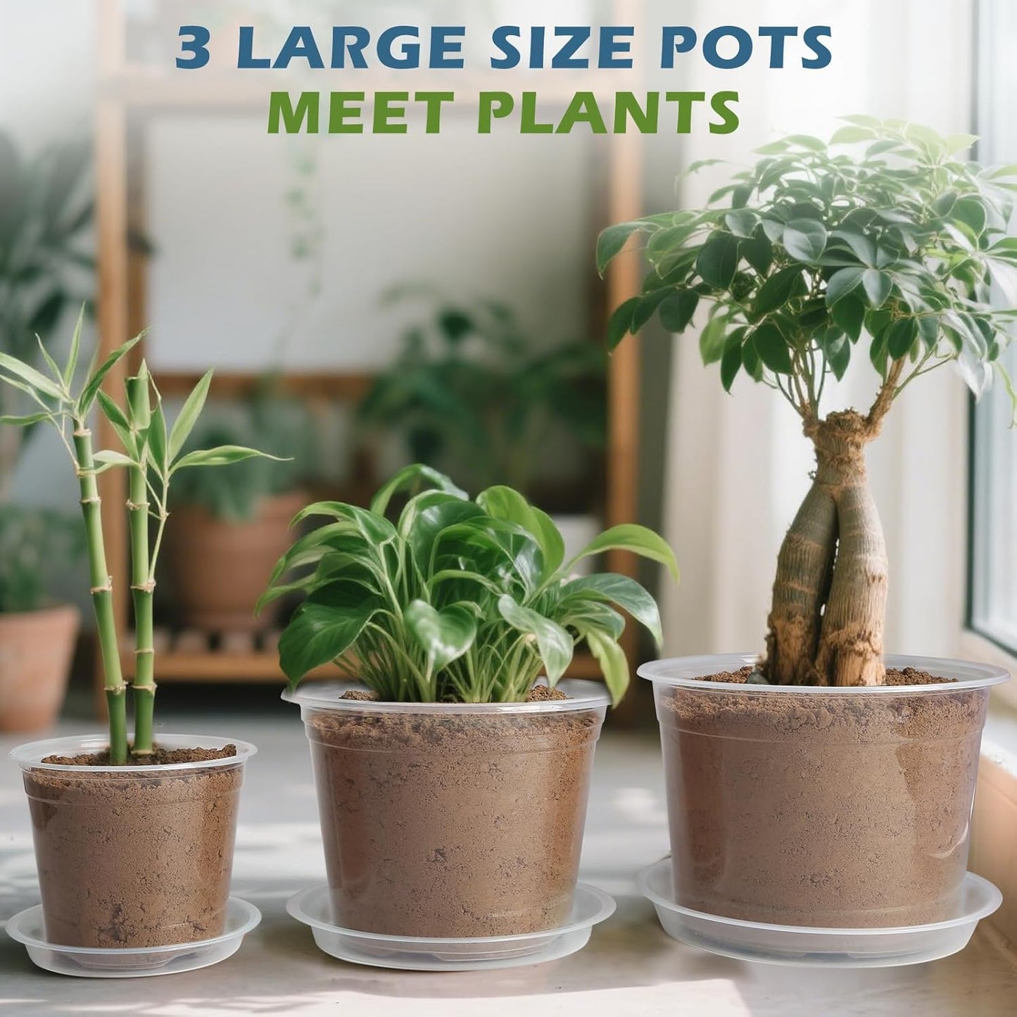 Skiennix Clear Nursery Pots - Large Size with Drainage & Saucers | 9 Pack Plastic Plant Pots for Seedlings