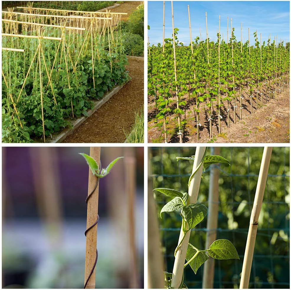 Mininfa Bamboo Garden Stakes - Eco-Friendly 4 Feet Plant Supports for Tomatoes, Trees & Beans | 25 Pack