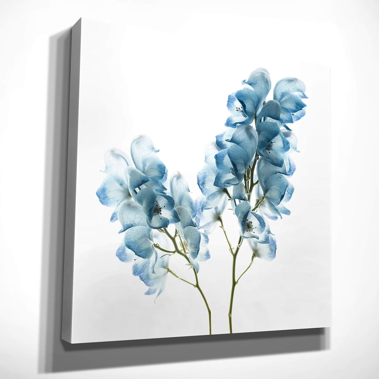 Wexford Home Gorgeous Blue II Gallery Wrapped Canvas Wall Art, 24x24,