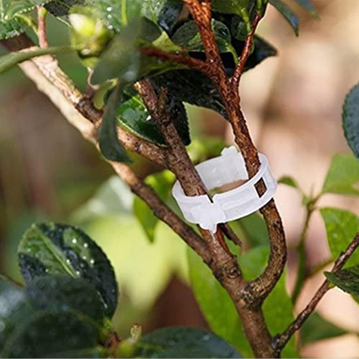 Skiennix Plant Support Clips - 100PCS Garden Clips for Tomatoes, Vines & Twine - Durable Fastening Tools