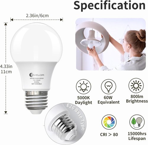 Evelor 6-Pack A19 LED Light Bulbs - 60W Equivalent Daylight 5000K | Efficient 9W, 800 Lumens, Non-Dimmable